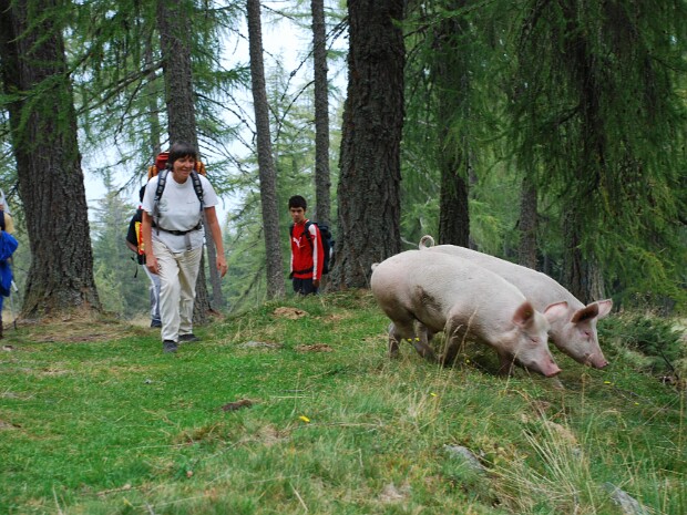 2007-09-16 Capanna Pian d'Alpe (1730 m)
