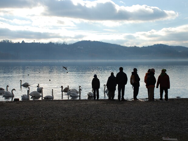 2008-01-06 Lago di Varese