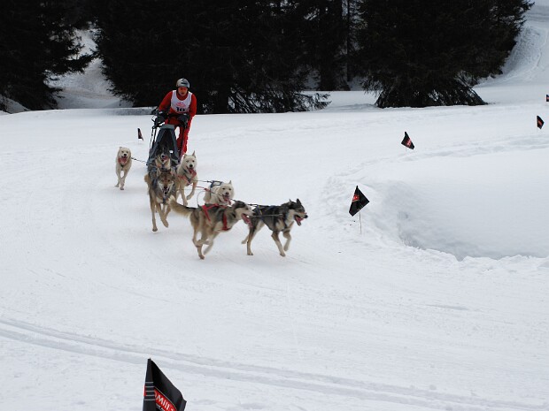 2008-02-17 S.Bernardino