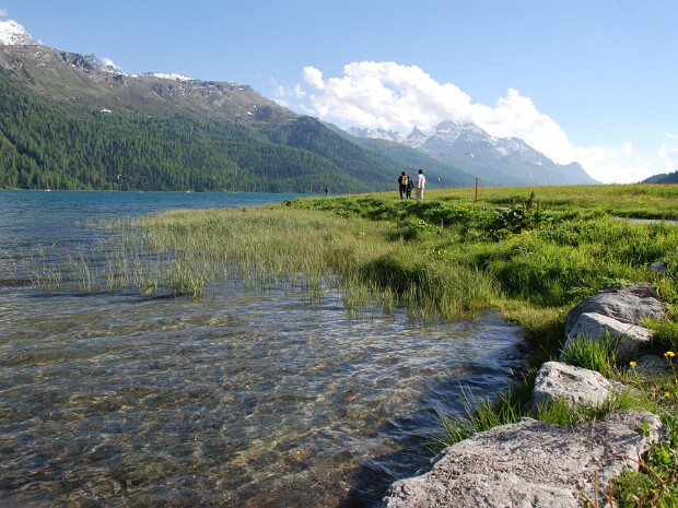 2008-06-21 Silvaplana - Julierpass
