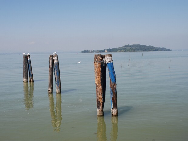 2011-07-30 Isola Polvese