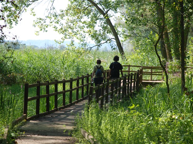 2011-08-02 Montepulciano