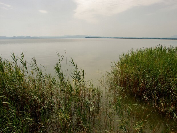 2011-08-03 Castiglione - Isola Maggiore