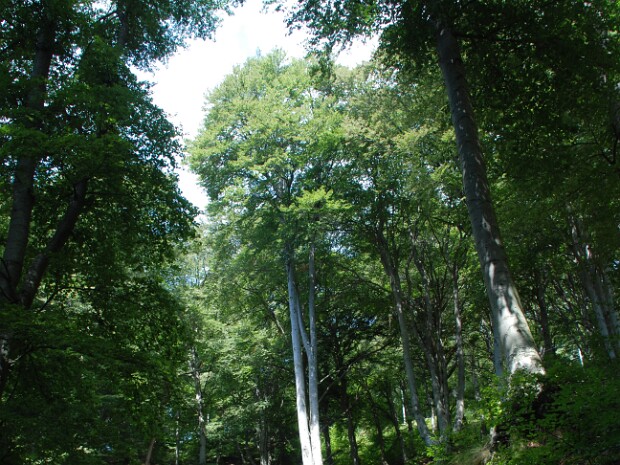 2011-08-13 Monte Generoso (CH)