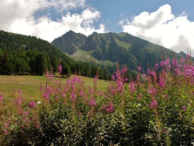 2013-08-16 - 18 Rifugio Arp - Brusson (AO)