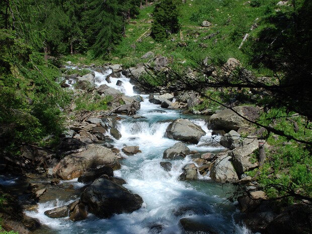 2014-06-30 Rifugio Dondena - Rifugio Miserin (chardonney)