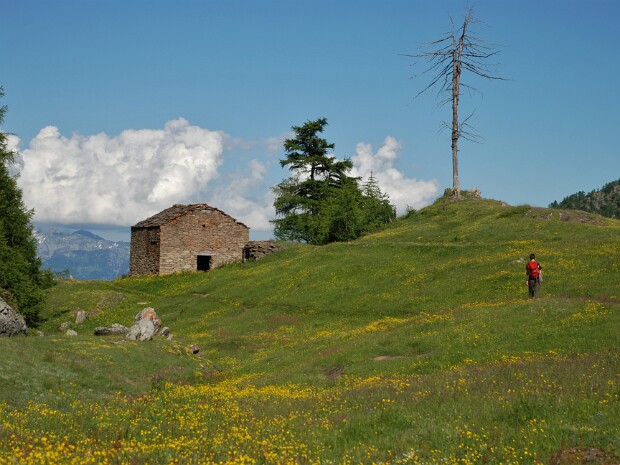 2014-06-30 Rifugio Dondena - Rifugio Miserin