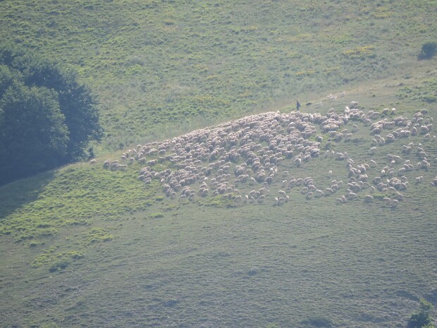 2014-08-04 Monte Palazzo Borghese - Monte Argentella