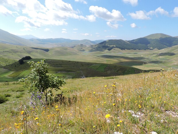 2014-08-04 Monte Palazzo Borghese - Monte Argentella