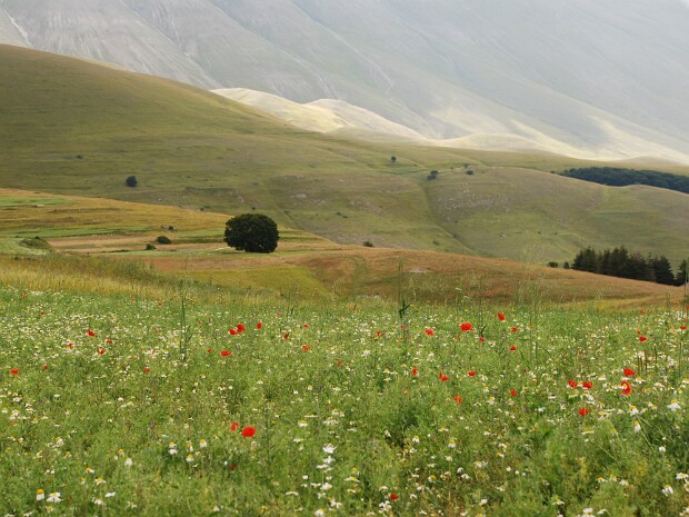 2014-08-06 Fiastra - Lame Rosse