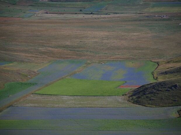 2014-08-07 Monte Vettore