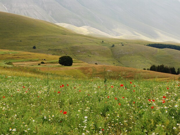 2014-08-06 Fiastra - Lame Rosse