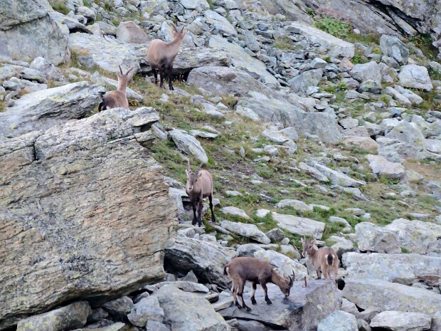 2015-08-31 Rif. Sella - Rif. Vallanta