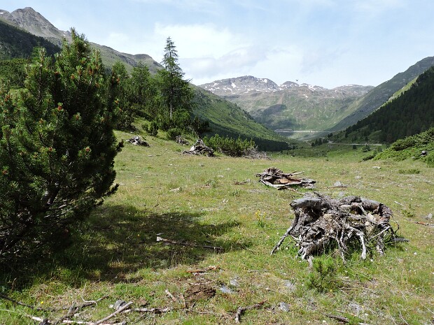 2016-07-22 Chese'ira dal vach e Aqua dal zo'fri