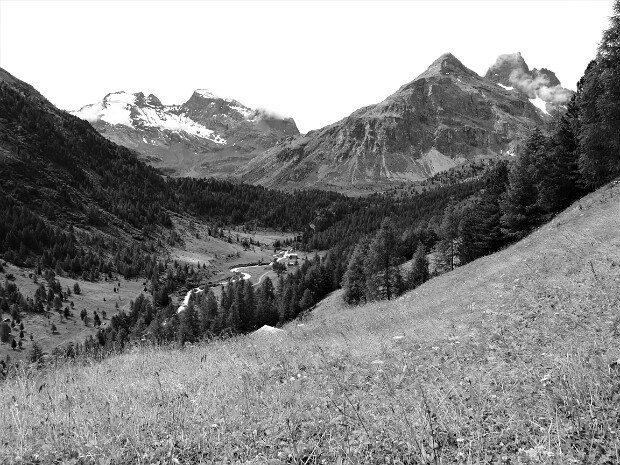2016-07-27 Val Viola - RIfugio Viola