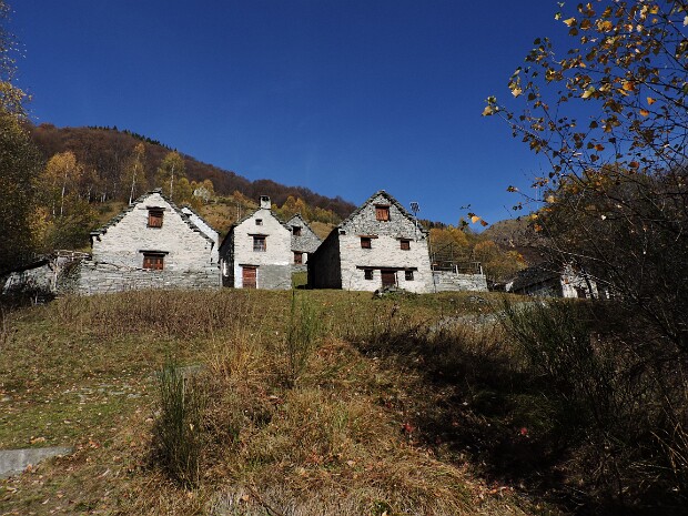 2017.11.01 Lago Panelatte