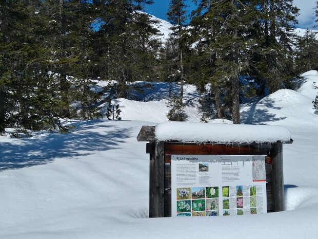 2018.04.02 San Bernardino