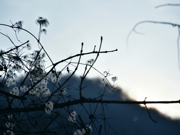 2018.12.01 Pravello Orsa