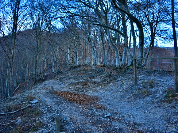 2018.12.09 Monte Generoso