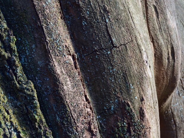 2018.12.30 Monte Chiusarella