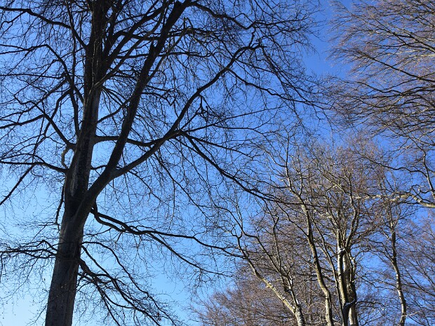 2019.01.20 Monte Generoso