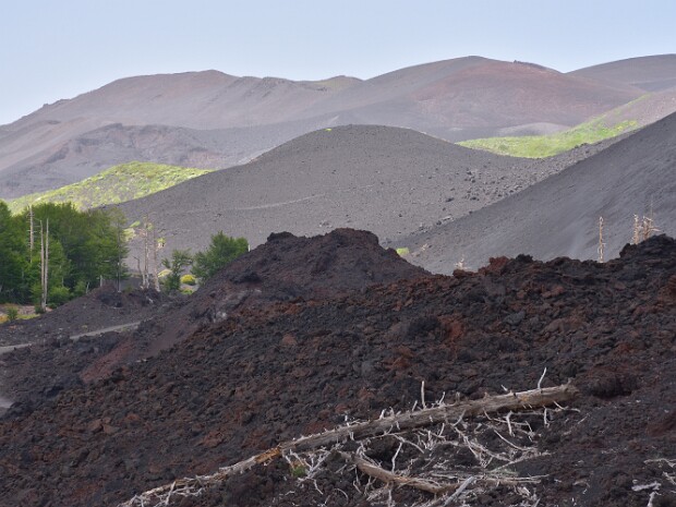 2019.06.12 Sicilia Piano Provenzana Etna Nord