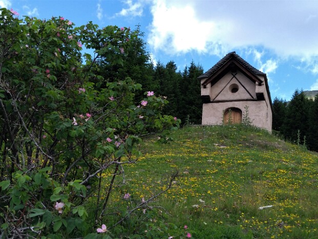 2019.07.07 Rifugio Gana Rossa Cari