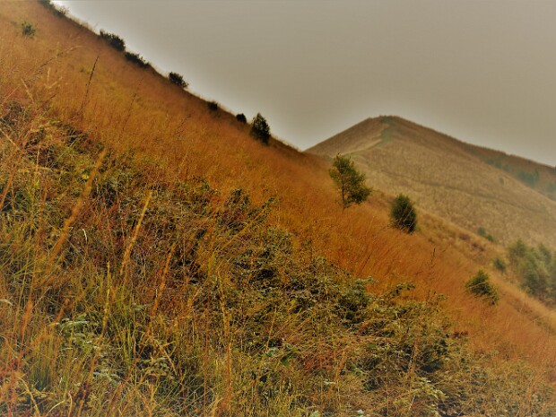 2019.10.06 Bollettone Brunate