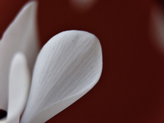 2019.11.10 Monte Orsa