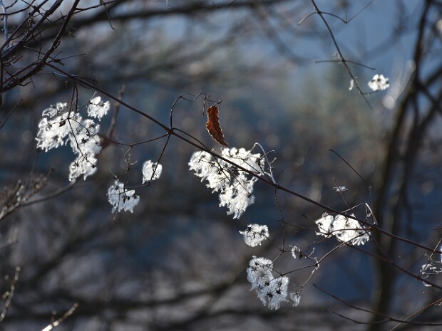 2019.12.14 Monte Monarco