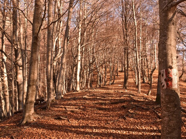 2019.12.23 Monte Paglione