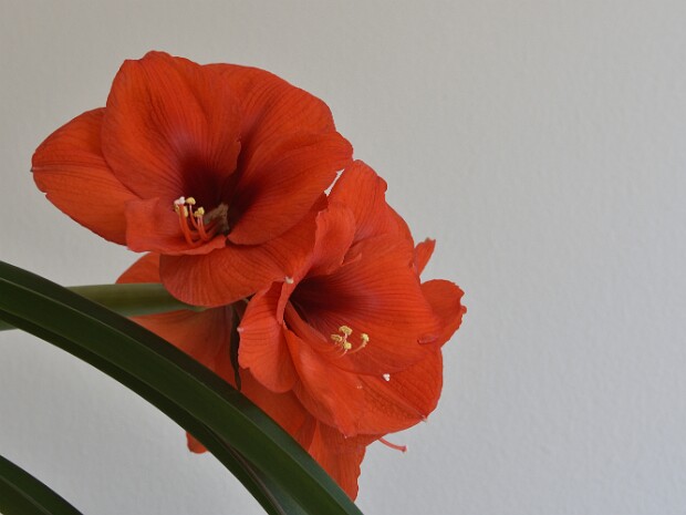 2020.03.09 Monte Lema