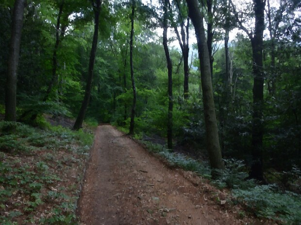 2020.05.31 Sasso Paradiso