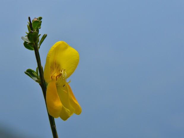 2020.06.02 Monte Colmegnone