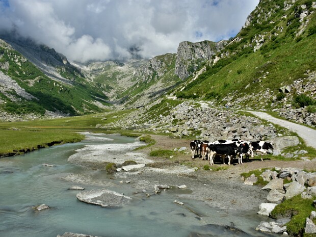 2020.07.20 Anello Rifugio Segantini Lago Nero
