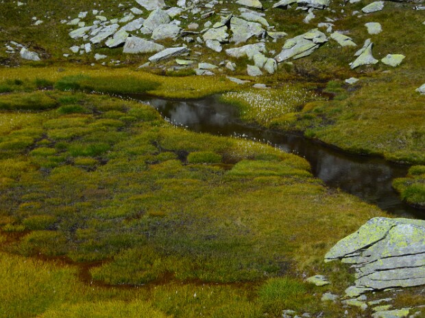 2020.09.09 Pizzo dell uomo e Siwerbenhorn