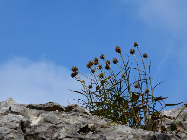 2020.09.11 Denti della Vecchia