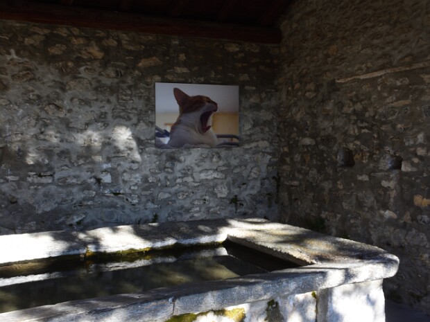 2020.10.12 Pigra Giro dei monti