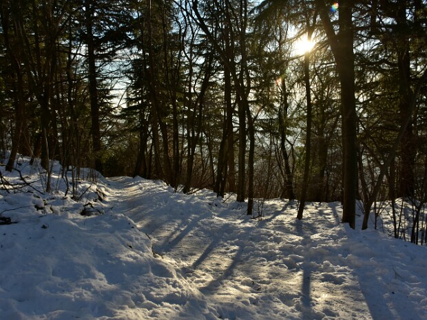 2021.01.12 Monte Orsa