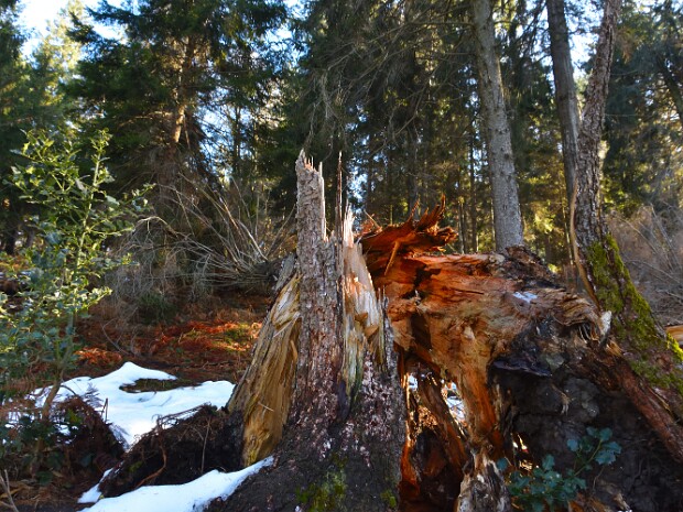 2021.01.31 Settetermini