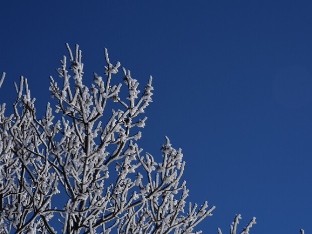 2021.02.14 Forcora Monte Covreto