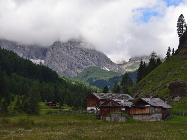 2021.07.11 Campitello - Rif. Tires