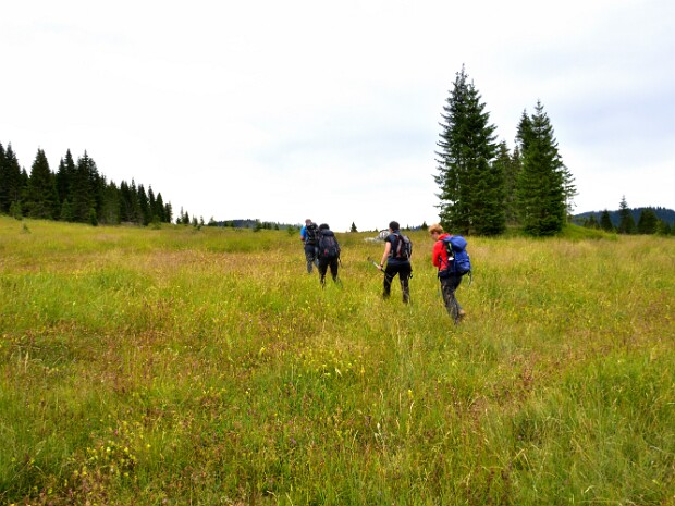 2021.07.16 Marcesina (Asiago)