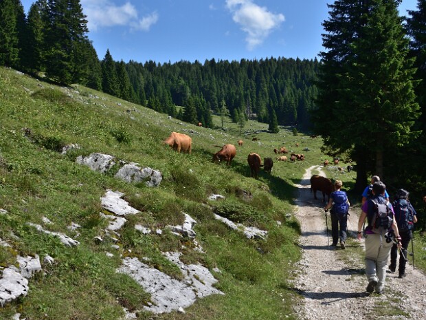 2021.07.18 Monte Verena (Asiago)