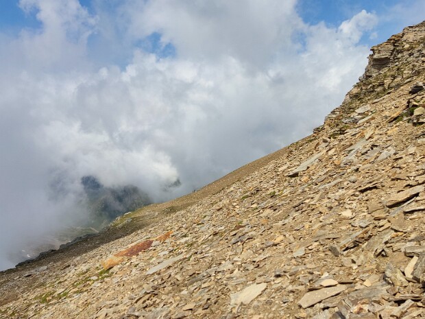 2021.08.22 Diei e Cistella