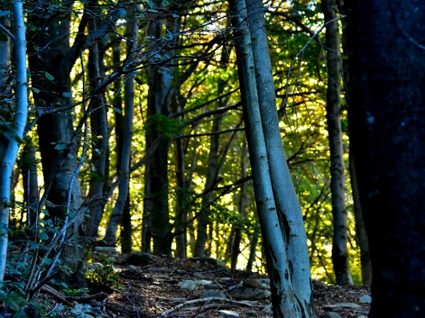 2021.10.17 Sasso del Ferro