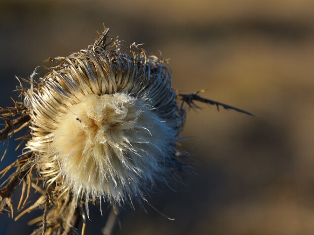 2021.12.19 Monte Chiusarella