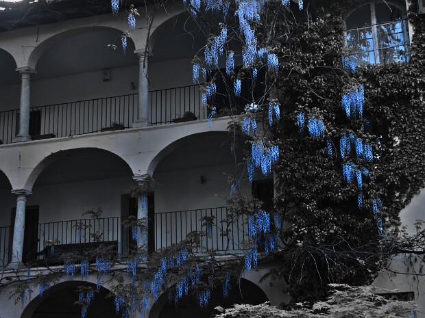 2022.05.01 Brusimpiano