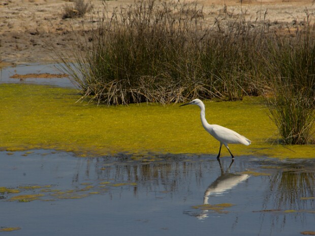 2022.06.14 Grado e Aquileia