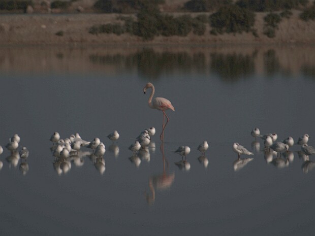 2022.10.28 Cervia - Terra del Sole
